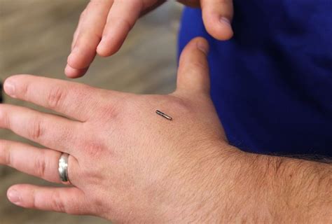 rfid chip implant in usa|This company embeds microchips in its employees, and they love it.